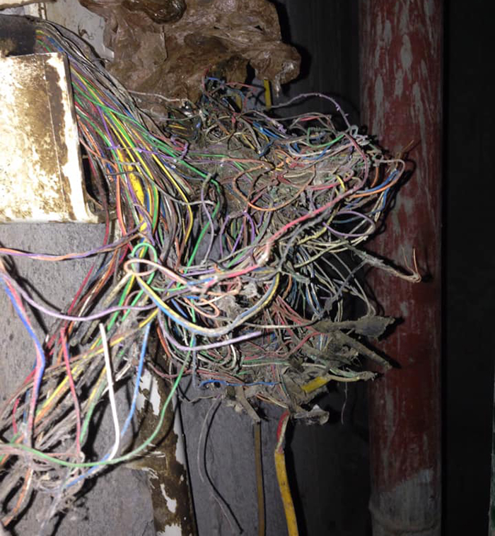 Khu vực hộp kỹ thuật bị mất kết nối 