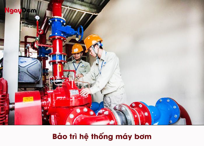 Kiểm tra và bảo dưỡng máy bơm nước