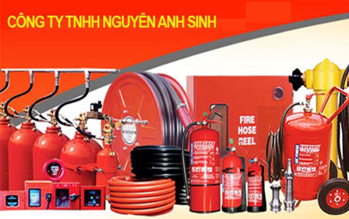 Công Ty TNHH Nguyễn Anh Sinh