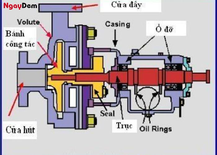 Cấu tạo của máy bơm PCCC