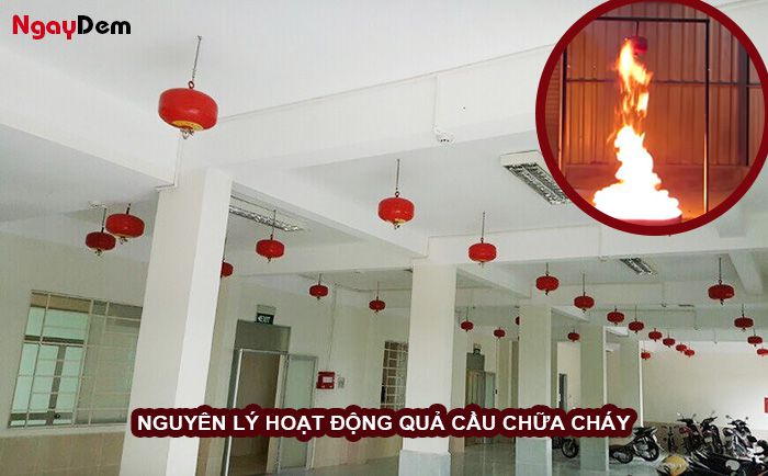 Nguyên lý hoạt động của quả cầu chữa cháy