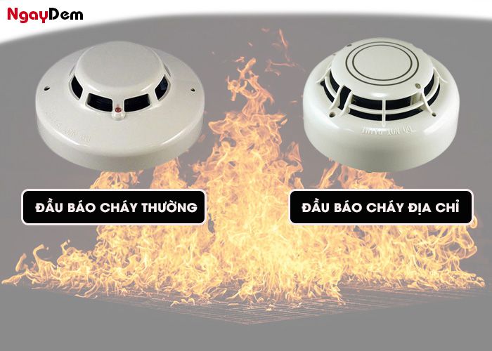Cách phân biệt đầu báo cháy địa chỉ và thường