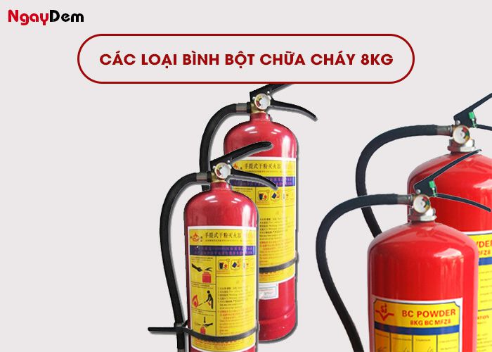 Các loại bình chữa cháy bột 8kg