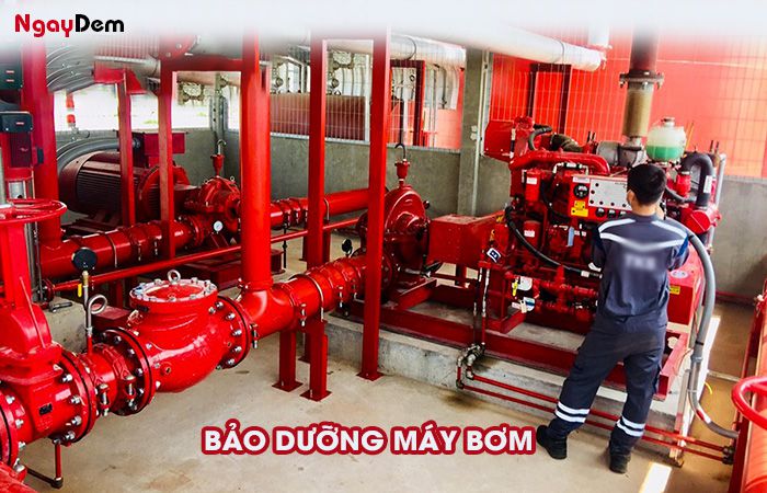 Bảo dưỡng PCCC tại Hải Dương - hệ thống máy bơm