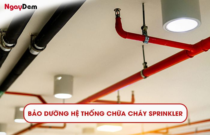 Dịch vụ bảo dưỡng PCCC tại Hải Phòng - hệ thống chữa cháy Sprinkler