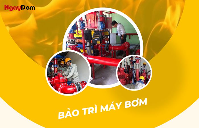 Dịch vụ bảo dưỡng PCCC tại Hải Phòng - hệ thống máy bơm