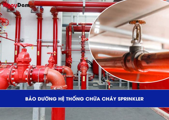 Bảo dưỡng PCCC tại Nghệ An - hạng mục chữa cháy Sprinkler