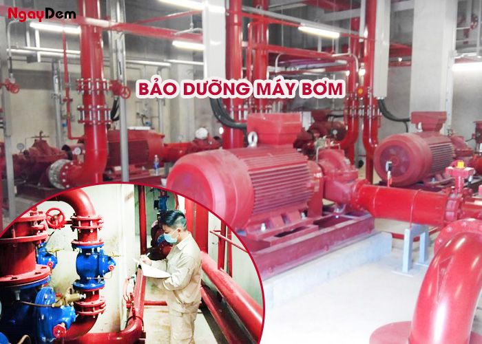 Bảo dưỡng PCCC tại Quảng Ninh - hệ thống máy bơm