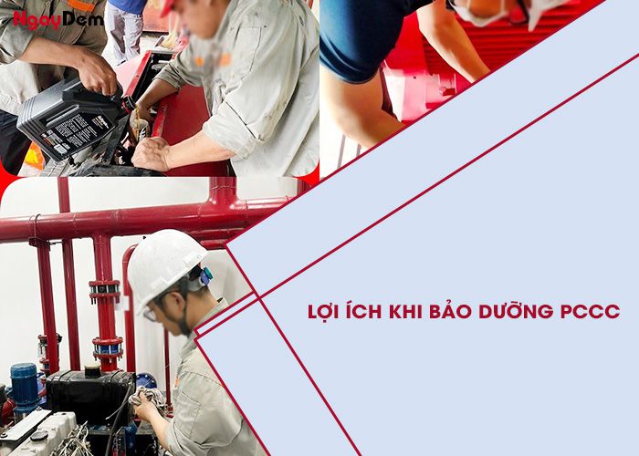 Bảo dưỡng PCCC tại Quảng Ninh - Lợi ích của dịch vụ