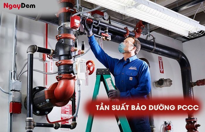 Tần suất thực hiện bảo dưỡng PCCC cho nhà xưởng