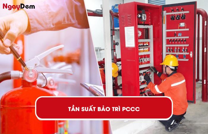 Tần suất thực hiện bảo trì PCCC Vĩnh Phúc