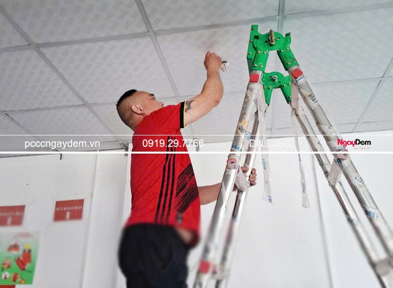 Lắp đặt thiết bị đầu báo cháy